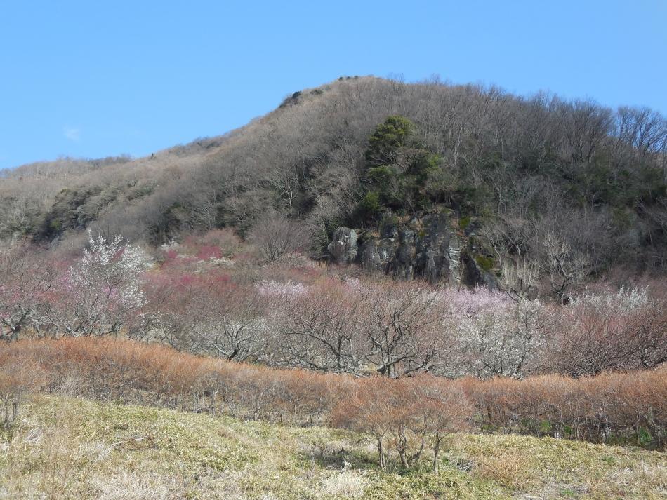 Yugawara Onsen Ryokan Uohan Esterno foto